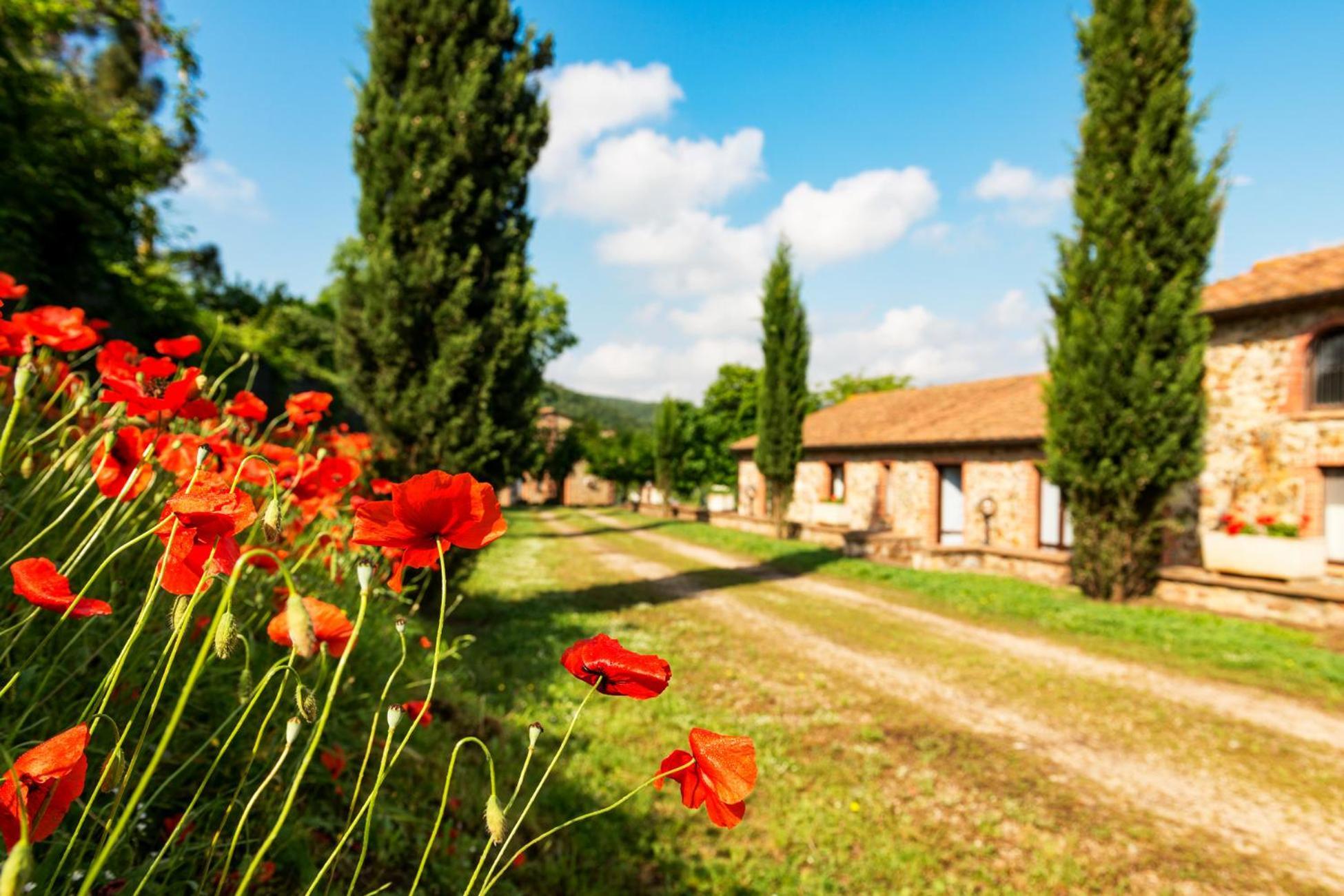 Podere Cascatelle&Agriletizia - Cascate Naturali Διαμέρισμα Massa Marittima Εξωτερικό φωτογραφία